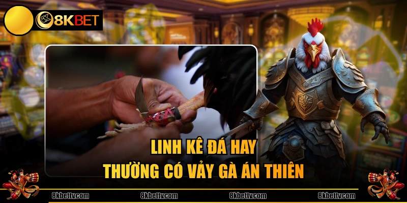 Linh kê đá hay thường có vảy gà Án Thiên